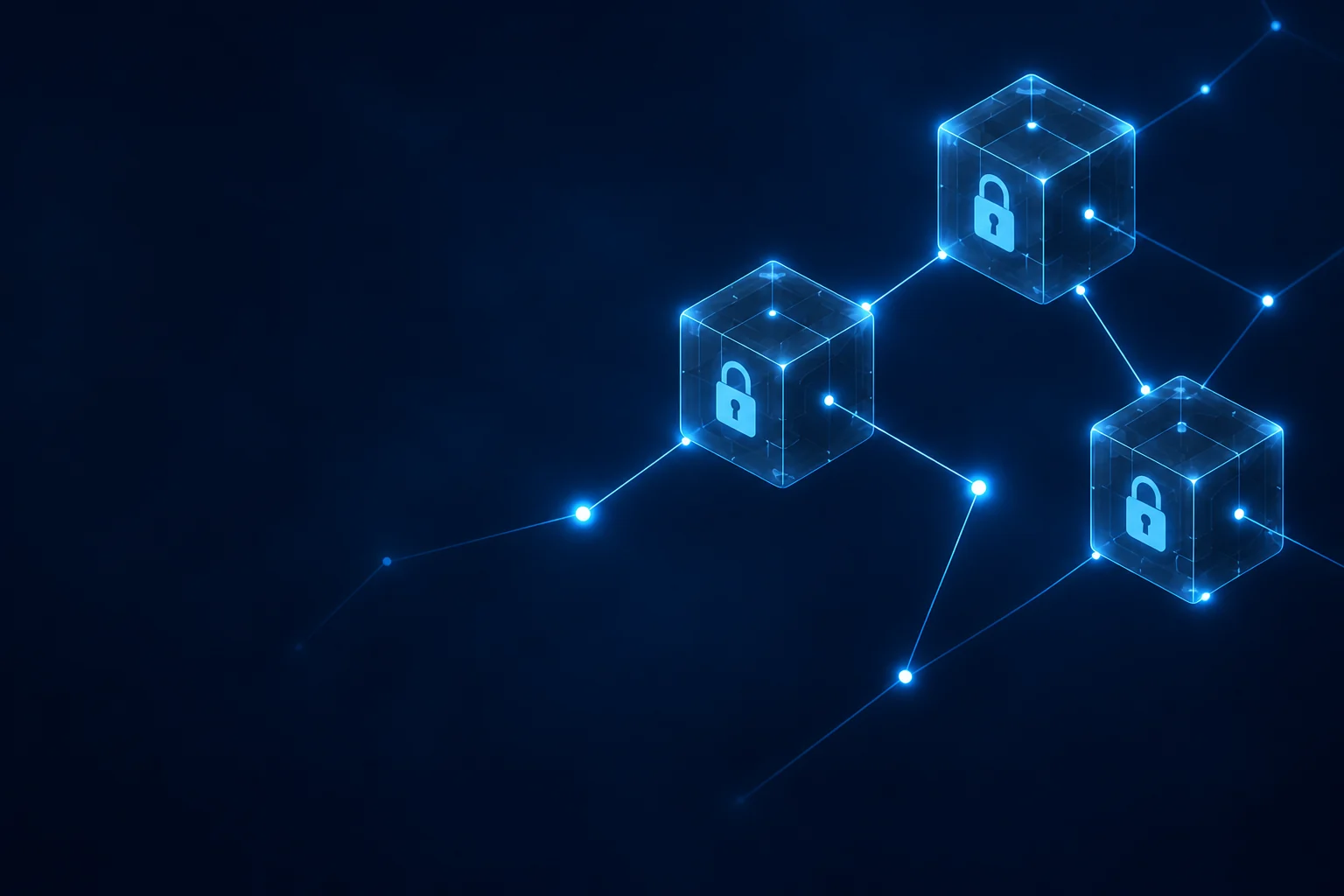 Network of connected cryptographic blocks